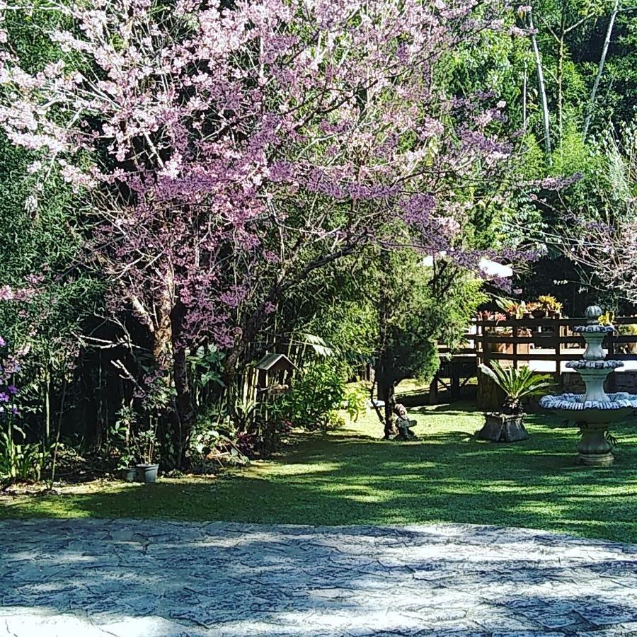 Havila Arara Azul Nova Friburgo Extérieur photo